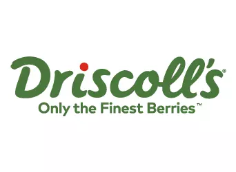 Logo Driscoll's ChilePromo.cl Regalos Corporativos